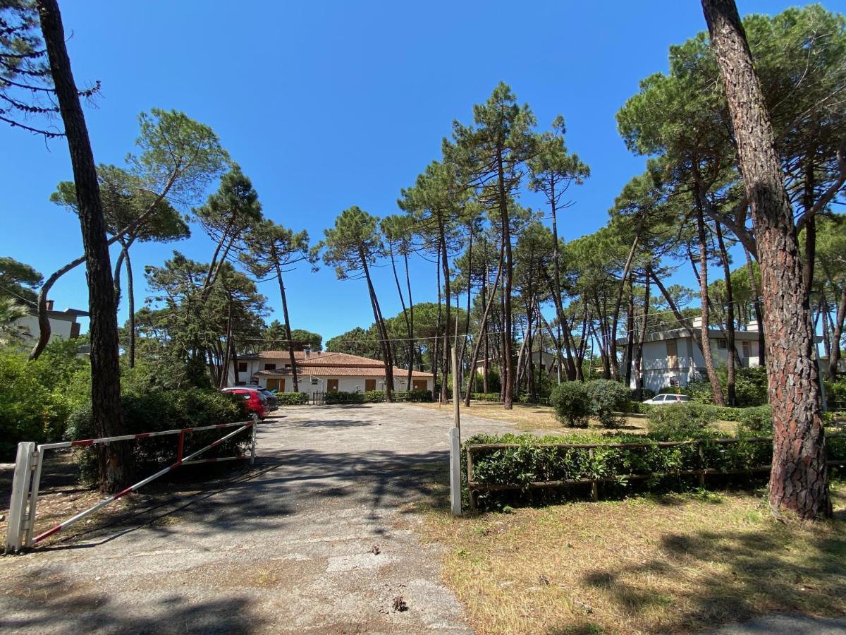 Maremmare Tuscany Principina a Mare