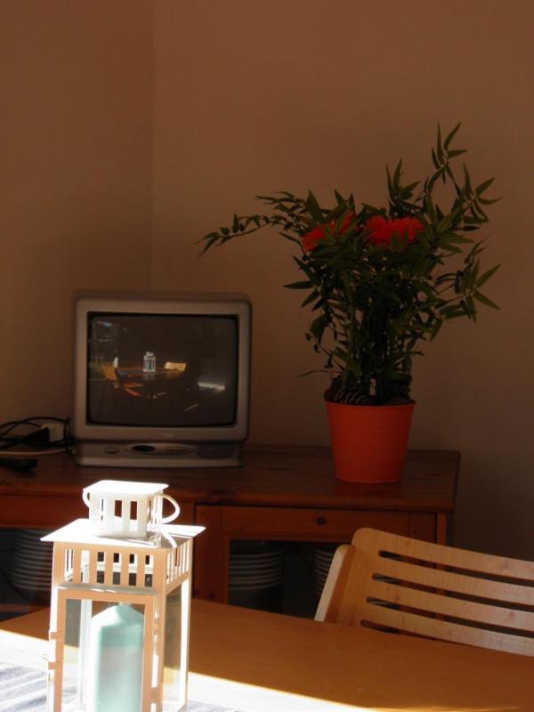 Maremmare Tuscany Apartment Principina a Mare